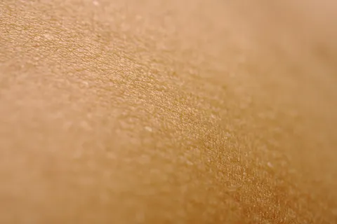 Detalle de la textura de la piel