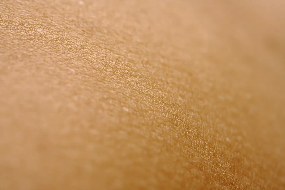Detalle de la textura de la piel